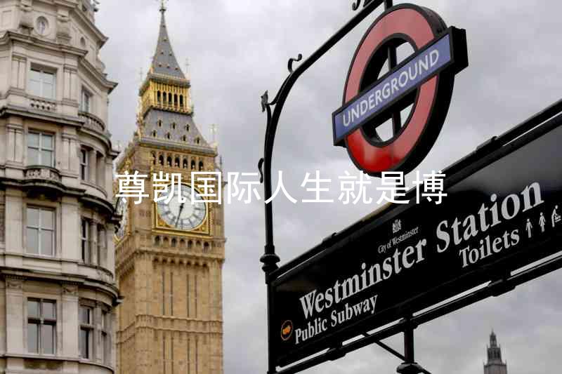 尊凯国际人生就是博