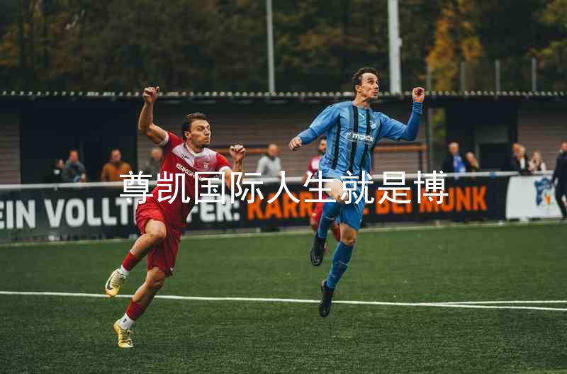 尊凯国际人生就是博
